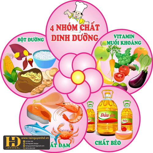4 Nhóm Chất Dinh Dưỡng (14)