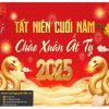 Background, Phông Nền Tết Năm Mới (23)