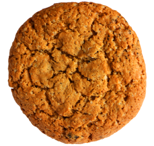 Bánh Quy - Cookies PNG (21)