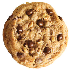 Bánh Quy - Cookies PNG (27)