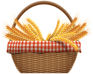 Bông Lúa - Lúa Mạch PNG (20)