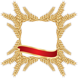 Bông Lúa - Lúa Mạch PNG (25)