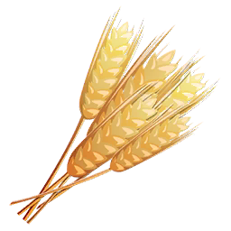 Bông Lúa - Lúa Mạch PNG (36)