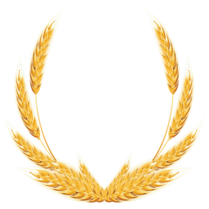 Bông Lúa - Lúa Mạch PNG (38)