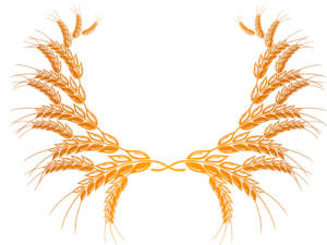 Bông Lúa - Lúa Mạch PNG (7)