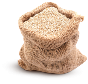 Bột Mì - Bột Gạo PNG (20)