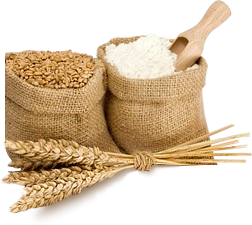 Bột Mì - Bột Gạo PNG (4)