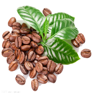 Cà Phê - Coffee 3103 (20)