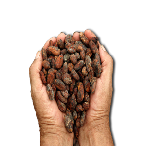Cacao (1)
