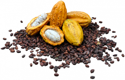 Cacao (14)