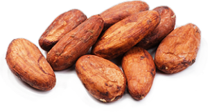 Cacao (22)