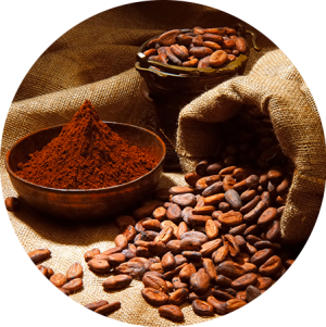 Cacao (25)