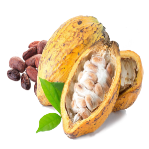 Cacao (5)