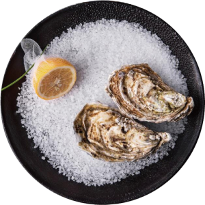 Con Hàu, Hàu Tươi 3003 (3)