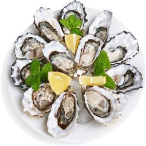 Con Hàu, Hàu Tươi 3003 (4)