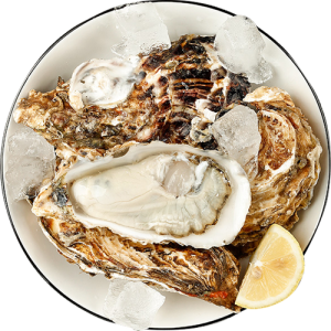 Con Hàu, Hàu Tươi 3003 (5)