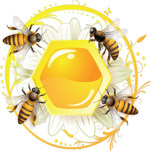 Con Ong, Mật Ong (1)