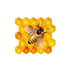 Con Ong, Mật Ong (13)