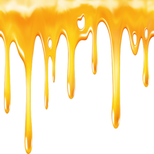 Con Ong, Mật Ong (6)