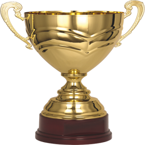 Cúp Vàng (6)