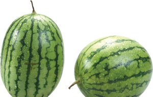 Dưa Hấu 3103 (2)