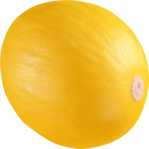 Dưa Lưới PNG (1)