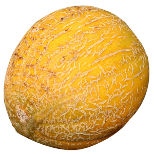 Dưa Lưới PNG (12)