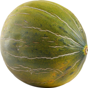 Dưa Lưới PNG (18)