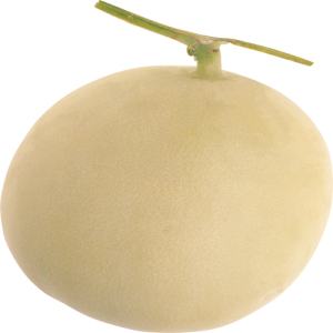 Dưa Lưới PNG (19)