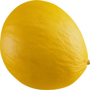 Dưa Lưới PNG (2)