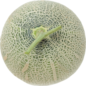 Dưa Lưới PNG (3)