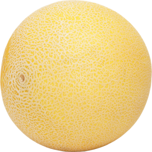 Dưa Lưới PNG (30)