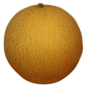 Dưa Lưới PNG (35)