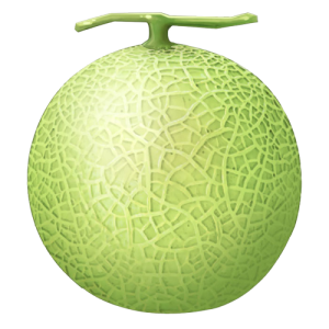 Dưa Lưới PNG (37)