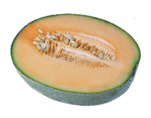 Dưa Lưới PNG (40)