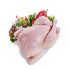 Đùi Gà, Thịt Gà (8)