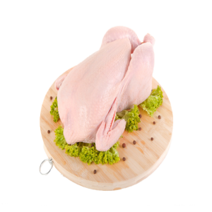 Đùi Gà, Thịt Gà (9)