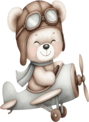 Gấu Con & Máy Bay PNG (11)