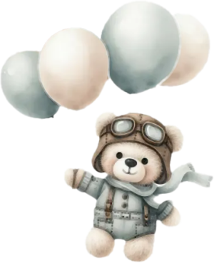 Gấu Con & Máy Bay PNG (4)