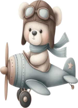 Gấu Con & Máy Bay PNG (5)