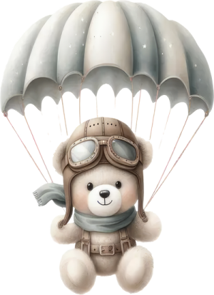 Gấu Con & Máy Bay PNG (6)