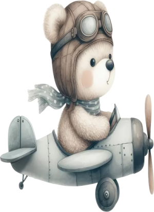 Gấu Con & Máy Bay PNG (8)