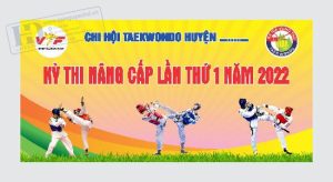 Giải Đấu Karatedo
