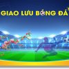 Giao Hữu Bóng Đá