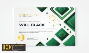 Giấy Chứng Nhận, Bằng Khen, Certificate (110)