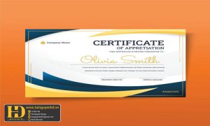 Giấy Chứng Nhận, Bằng Khen, Certificate (125)