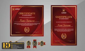 Giấy Chứng Nhận, Bằng Khen, Certificate (13)