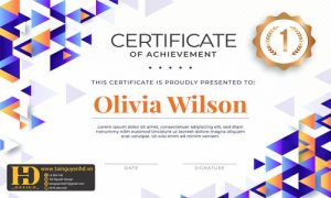 Giấy Chứng Nhận, Bằng Khen, Certificate (158)