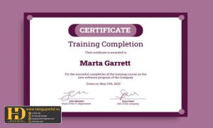 Giấy Chứng Nhận, Bằng Khen, Certificate (170)