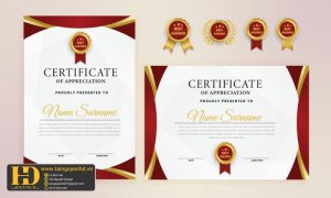 Giấy Chứng Nhận, Bằng Khen, Certificate (180)